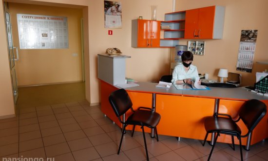 Дом престарелых Добрые руки «Алевтины» ул. Северная фото 3