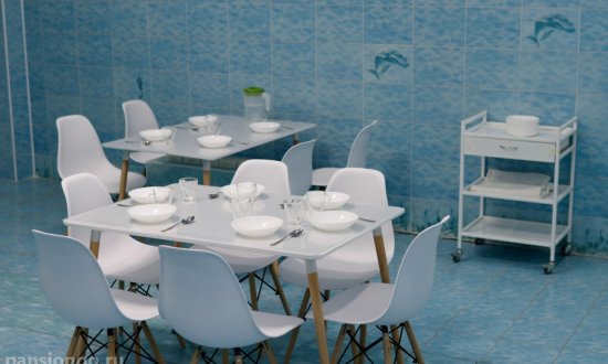 Дом престарелых Добрые руки «Алевтины» ул. Северная фото 5