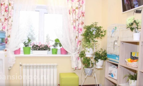 Дом престарелых «Жемчужина» Львовская фото 3